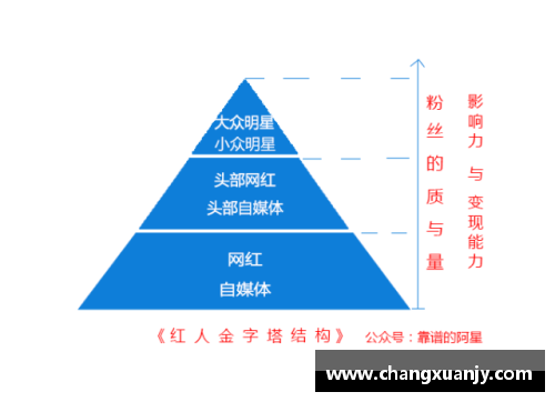 体育明星粉丝的独特特点与行为模式深度解析