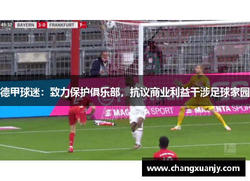 德甲球迷：致力保护俱乐部，抗议商业利益干涉足球家园