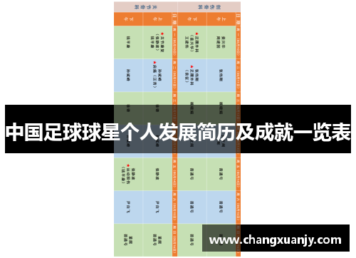 中国足球球星个人发展简历及成就一览表